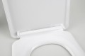 LENA deska WC, Soft Close, antybakterialna, biała