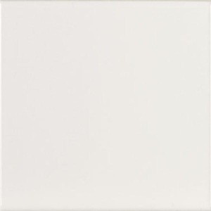 EVOLUTION Blanco Brillo 15x15 (kart = 1 m2), EQ-O
