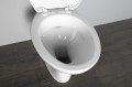 Kompakt WC ze spłuczką oraz mechanizmem spłukującym, tylny odpływ
