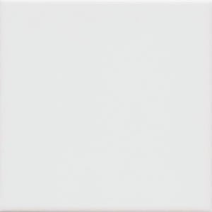 UNICOLOR 20 gris brillo 20x20 (1bal=1m2)