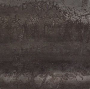 COSMOS 60 negro (kart.=1,08m2)