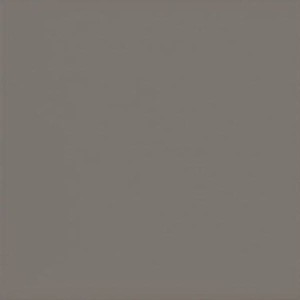 EVOLUTION Gris Oscuro Brillo 15X15 (EQ-0) (1bal=0,85m2)