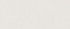 JULIETTE R75 Blanco 31x75 (bal=0,93m2)