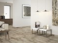 BOSSE Tabaco 17,5x50
