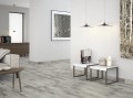 BOSSE Grey 17,5x50