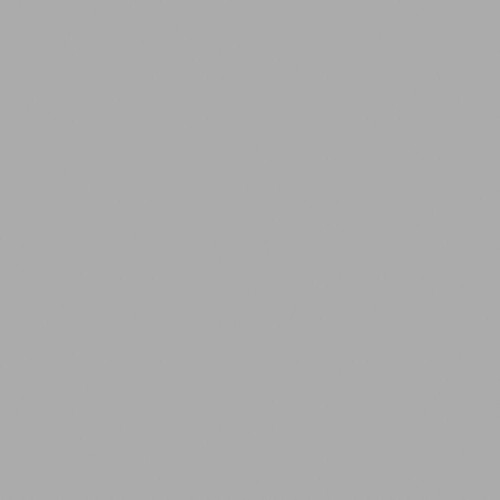 BASIC płytki podłogowe Silver 25x25 (bal=1m2)