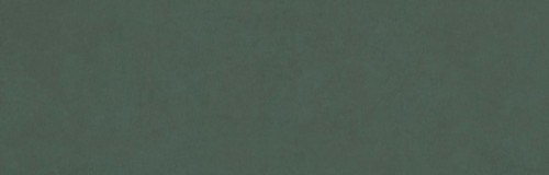 COLORLINE płytki ścienne Verde 31,5x100 (bal=1,26m2)